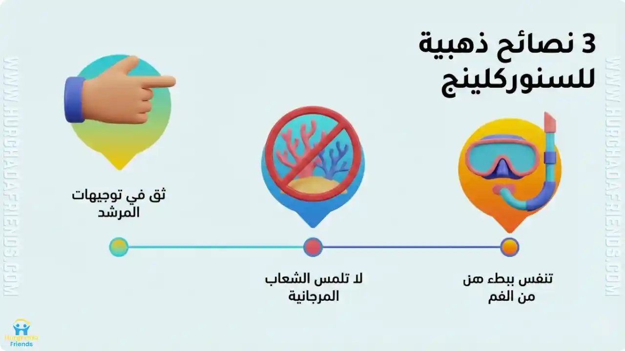 انفوجرافيك يوضح 3 نصائح ذهبية للمبتدئين في السنوركلينج ويشمل: التنفس ببطء من الفم، عدم لمس الشعاب المرجانية للحماية، والثقة التامة في توجيهات المرشد البحري.